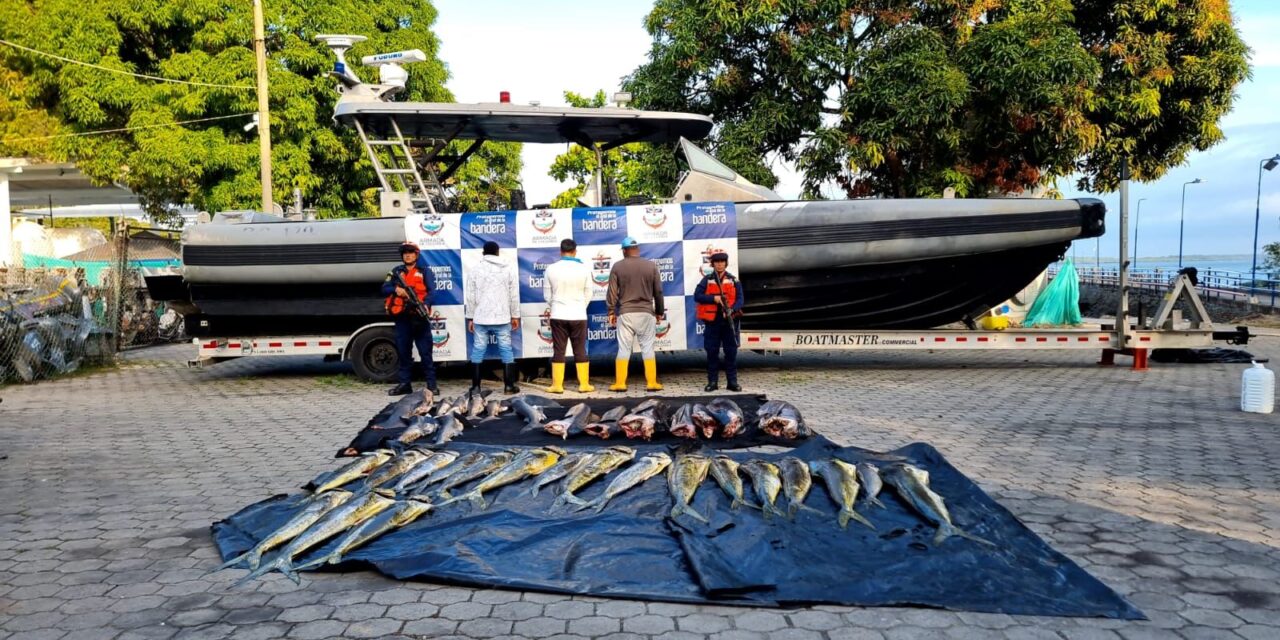 Incautan en Tumaco, Nariño media tonelada de pesca ilegal