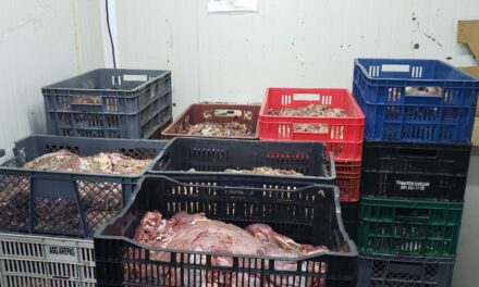 Incautan 1,5 toneladas de carne descompuesta lista para vender en Medellín