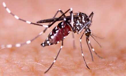 Preocupante aumento de dengue en Cali