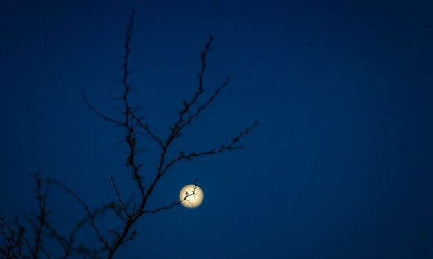 Se viene el Festival de Turismo Astronómico del desierto de la Tatacoa