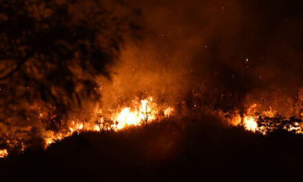 Más de 300 voluntarios ayudaron a controlar incendio en el norte de Cali