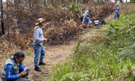 Incendios han consumido 150 hectáreas de bosques en el Valle de Aburrá