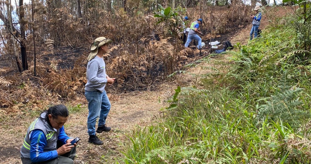 Incendios han consumido 150 hectáreas de bosques en el Valle de Aburrá