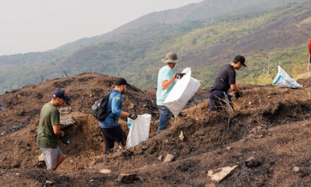 Comunidades de Cali trabajan para sanar las heridas del fuego en el cerro Altos de Menga