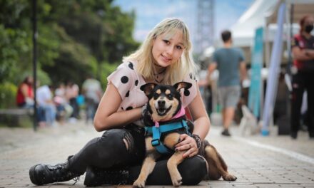 Este 8 de octubre, Medellín tendrá jornada masiva de adopción de animales de compañía