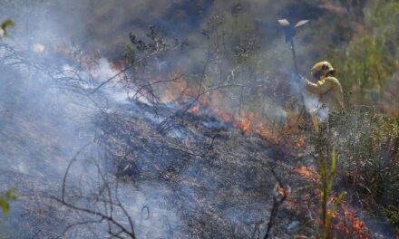 Voraces incendios forestales siguen siendo provocados en las montañas de Cali