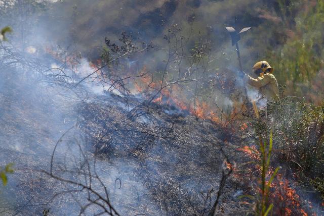 Voraces incendios forestales siguen siendo provocados en las montañas de Cali