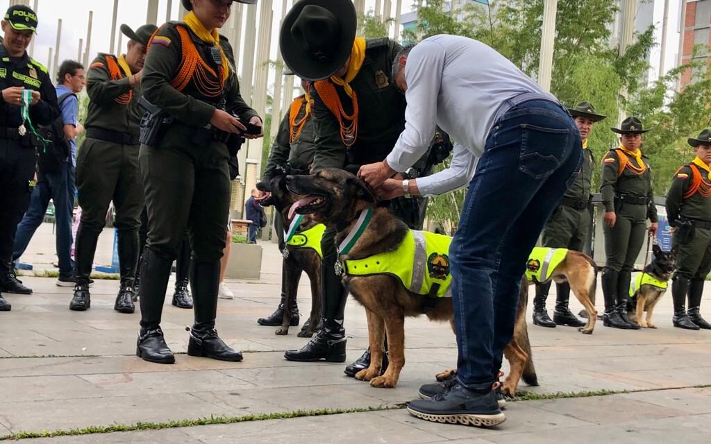 4 Caninos fueron condecorados