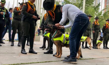 4 Caninos fueron condecorados