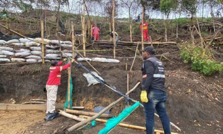 Persisten las invasiones en el Cerro La Antena de Cali