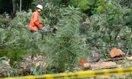 Emergencias en Cali por lluvias durante el fin de semana