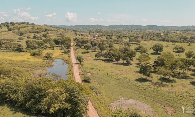 Gobierno entrega más de 1.230 hectáreas como parte de la Reforma Agraria en el Caribe