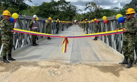 Ejercito construyó un puente en 20 días en el Chocó