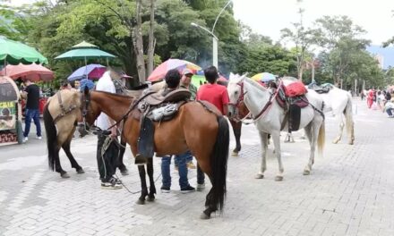 ¡Adiós al alquiler de caballos en Parques de Medellín!