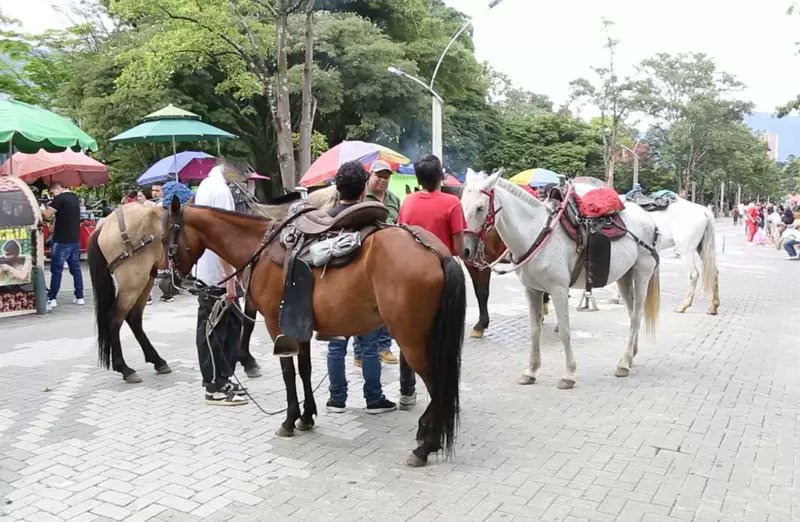 ¡Adiós al alquiler de caballos en Parques de Medellín!