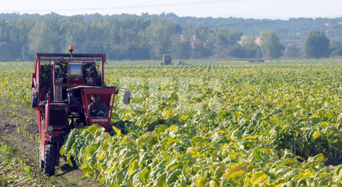 Brasil espera exportar 92.000 millones de dólares con proyectos de agronegocio