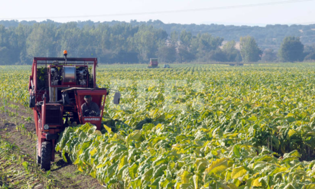 Brasil espera exportar 92.000 millones de dólares con proyectos de agronegocio