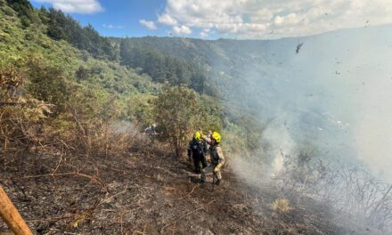 Más de 150 emergencias en Medellín en el inicio de diciembre