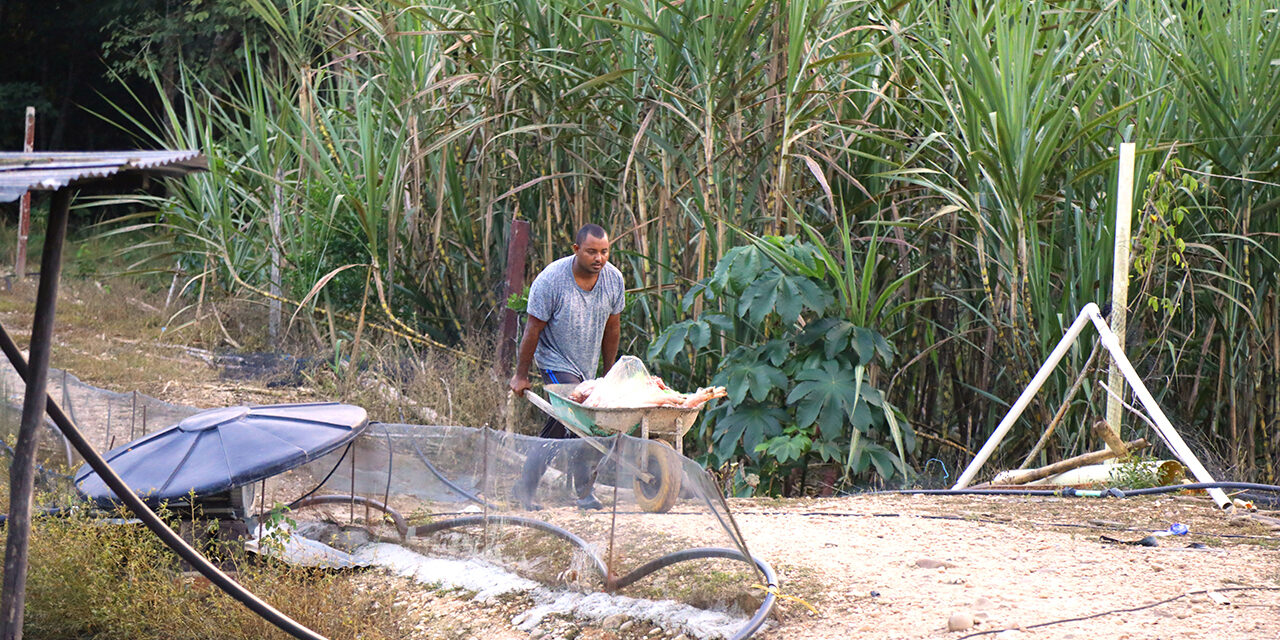 Gobierno Nacional entrega tierras a campesinos de Cundinamarca y Santander