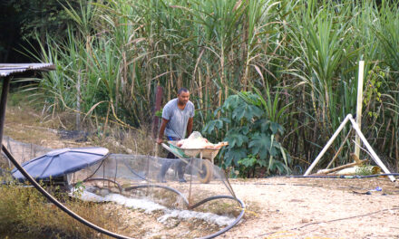 Gobierno Nacional entrega tierras a campesinos de Cundinamarca y Santander