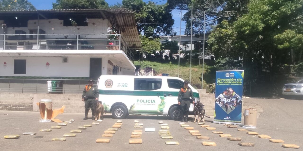 En Medellín las autoridades incautaron 50 kilos de marihuana que iban en encomienda