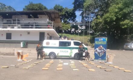 En Medellín las autoridades incautaron 50 kilos de marihuana que iban en encomienda