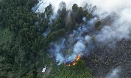 Inicia la temporada seca en Antioquia en medio del fenómeno de El Niño ¡Pilas a las recomendaciones!