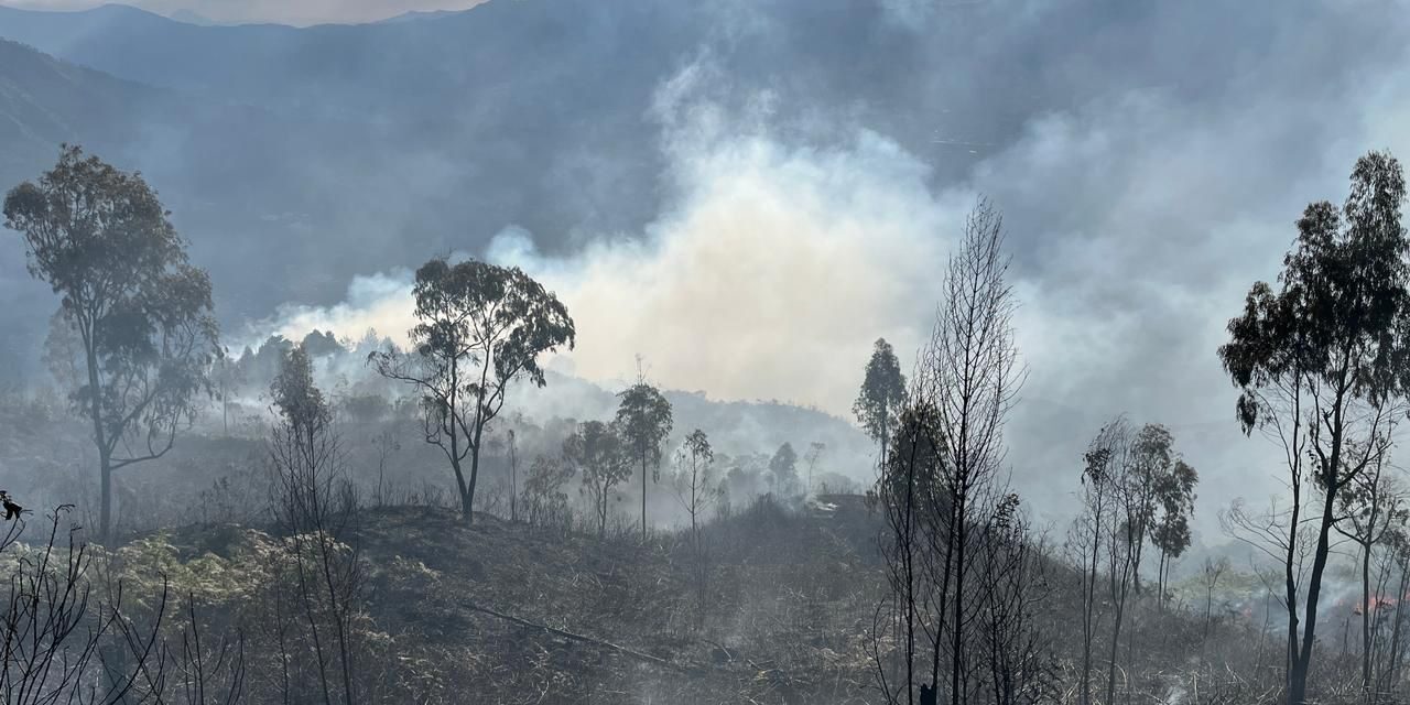 Controlan incendio vegetal en Santa Elena