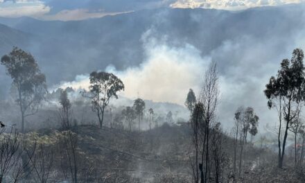 Controlan incendio vegetal en Santa Elena