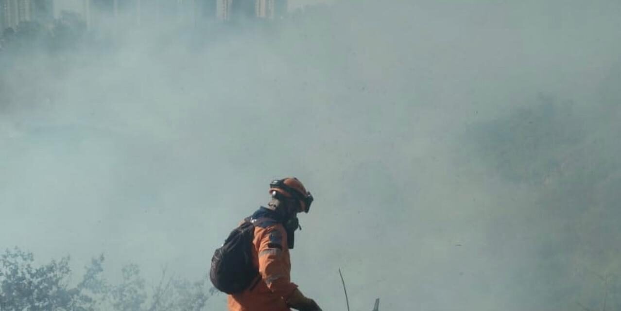 Cerca de 70 hectáreas de capa vegetal se vieron afectadas en el voraz incendio del Cerro Quitasol