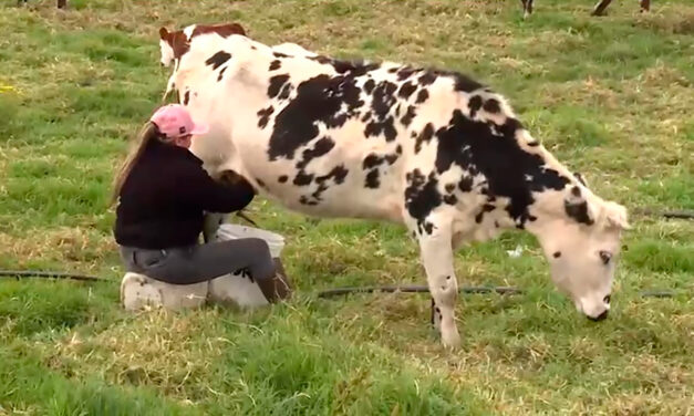Línea CREO de BanAgrario beneficia a mujeres emprendedoras