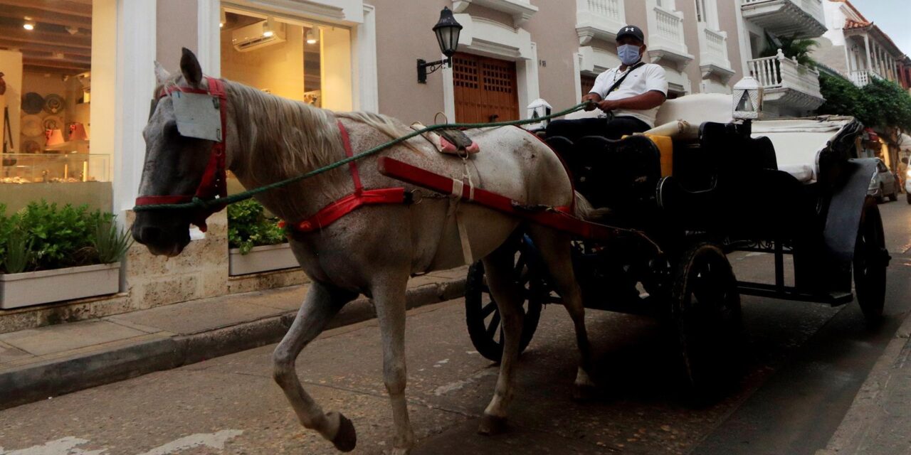 Se acaban los caballos cocheros en Cartagena