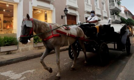 Se acaban los caballos cocheros en Cartagena