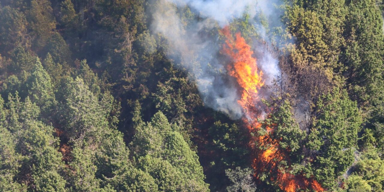 Incendio en cerro El Cable amenaza antenas de medios de comunicación