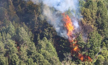 Incendio en cerro El Cable amenaza antenas de medios de comunicación