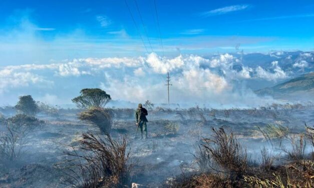Se reactivó el incendio en el páramo de Berlín
