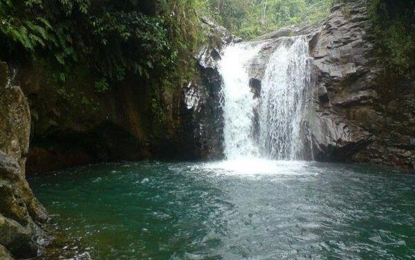 Un paseo familiar que casi termina en tragedia por una imprudencia