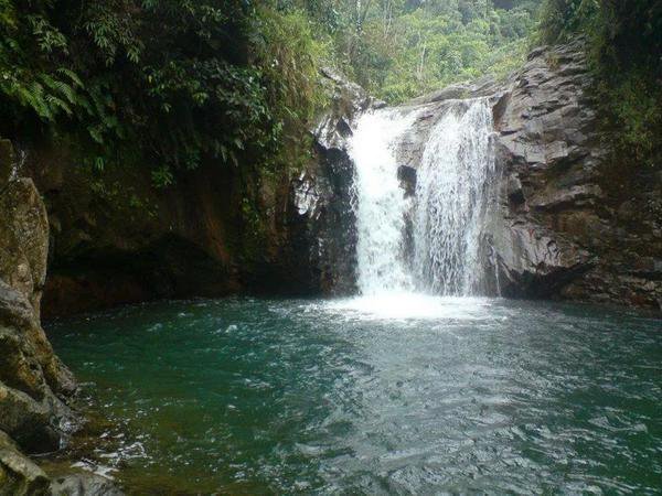 Un paseo familiar que casi termina en tragedia por una imprudencia