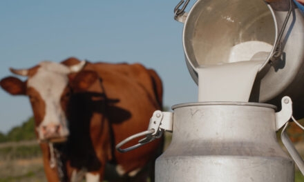 SIC impone millonaria multa a cuatro empresas lecheras por adicionar lactosuero a la leche entera