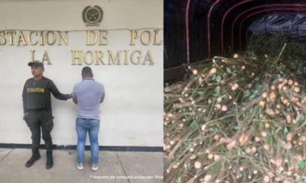 A la cárcel camionero por llevar dos toneladas de semilla de coca