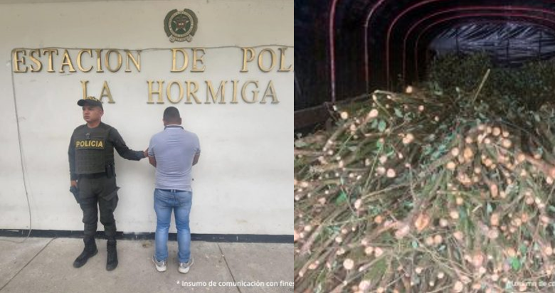 A la cárcel camionero por llevar dos toneladas de semilla de coca