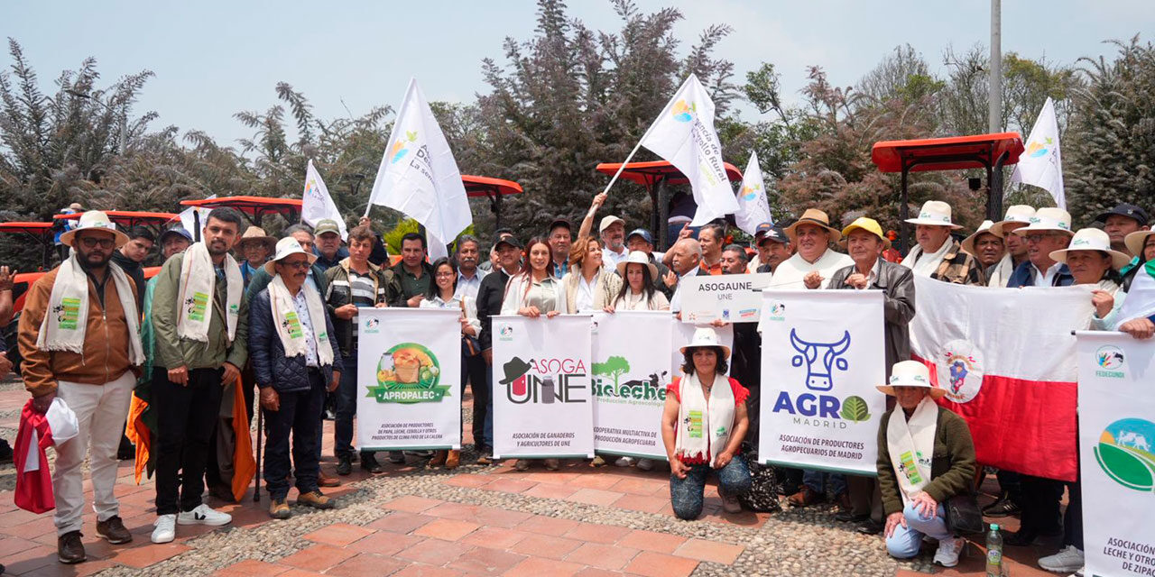 Cadena lechera de Cundinamarca recibirá tres mil millones