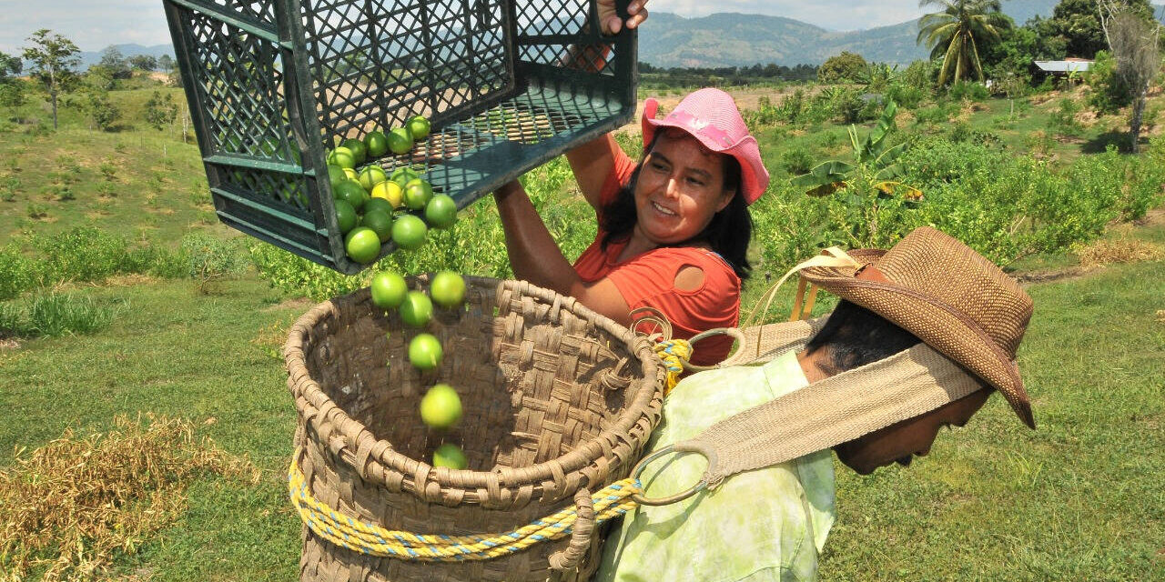 Finagro y Usaid facilitan acceso a créditos para combatir el ‘gota a gota’