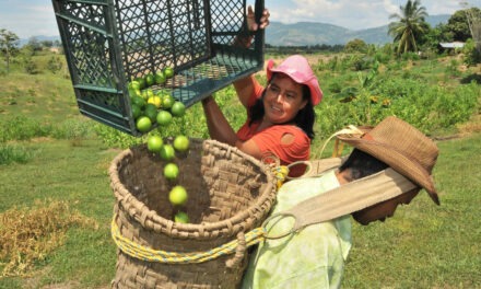 Finagro y Usaid facilitan acceso a créditos para combatir el ‘gota a gota’