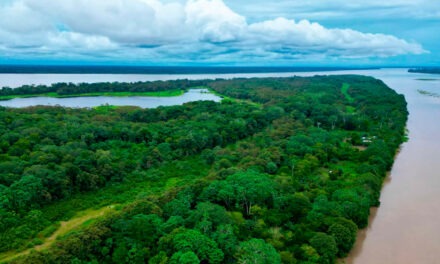 Mintransporte invertirá 75 mil millones en el Amazonas