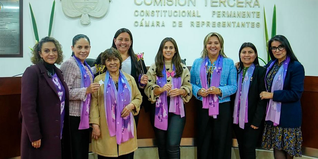 Proyecto de ley para mujeres periodistas victimas de la violencia