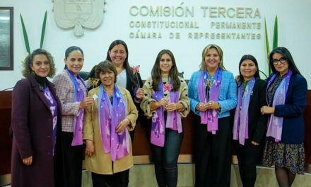 Proyecto de ley para mujeres periodistas victimas de la violencia