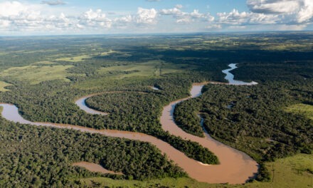 Cierran 10 Parques Nacionales por prevención de incendios