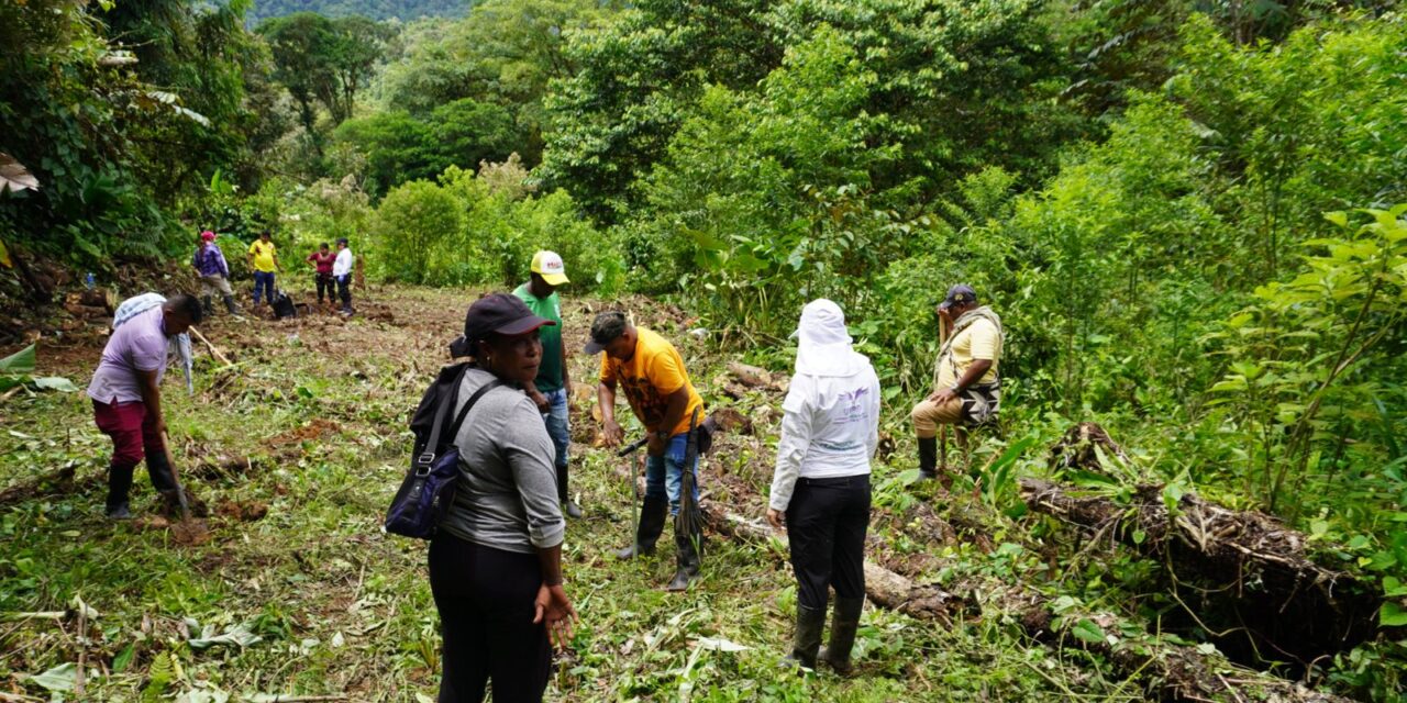 Unidad de Búsqueda en Tadó, Chocó, encuentra cinco cuerpos