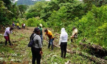 Unidad de Búsqueda en Tadó, Chocó, encuentra cinco cuerpos